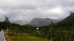 IMG 8994