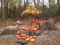 22.10.25_Гарбузи_вело_66 км