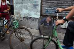 1420711191 zabavnye-ulichnye-fotografii-iz-kitaya-24