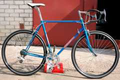 крокодильчик крокодильчик