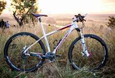 Cannondale Trail SL 29