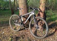 Specialized Carve Pro SS