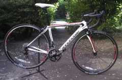 Cannondale Synapse