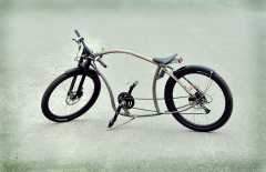 Ludovik bike)