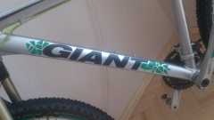 О Giant11