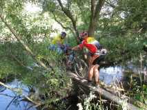 IMG 2217 IMG 2217