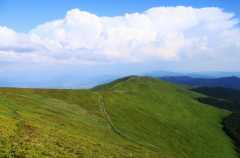 04виды 04виды