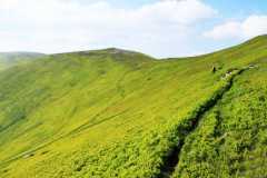 04виды1 04виды1