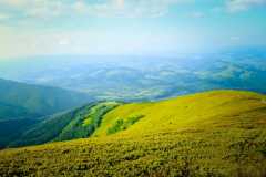 04виды2 04виды2