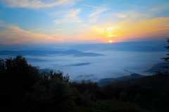 04виды3 04виды3