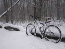 Cube AMS 120 29er winter edition