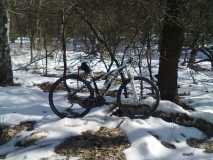 01032013312 01032013312