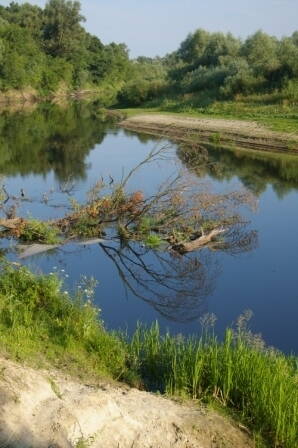По реке снов и десне. image6. По реке снов и десне фото. По реке снов и десне-image6. картинка По реке снов и десне. картинка image6. Как-то мне довелось увидеть на одной из столичных художественных выставок довольно интересное, живописное полотно, с названием «Река снов». В буйствах красок и претензией на неординарность сюжета автор хотел выразить на полотне то, что ему пригрезилось во снах. Выглядело довольно интересно, даже пугающе. Осмотрев эту картину, я поймал себя на мысли что название работы говорит мне совершенно другое. Это же река Снов! Чудесная реальная река в Черниговской области. Чудесная хотя бы потому, что считается одной из самых экологически чистых рек Европы.