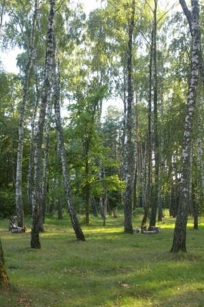 По реке снов и десне. image7. По реке снов и десне фото. По реке снов и десне-image7. картинка По реке снов и десне. картинка image7. Как-то мне довелось увидеть на одной из столичных художественных выставок довольно интересное, живописное полотно, с названием «Река снов». В буйствах красок и претензией на неординарность сюжета автор хотел выразить на полотне то, что ему пригрезилось во снах. Выглядело довольно интересно, даже пугающе. Осмотрев эту картину, я поймал себя на мысли что название работы говорит мне совершенно другое. Это же река Снов! Чудесная реальная река в Черниговской области. Чудесная хотя бы потому, что считается одной из самых экологически чистых рек Европы.