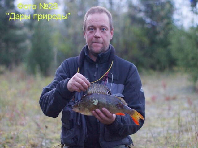 7 дней на полярном урале одиночный пеше водный поход по реке лемва грубею и уса. Смотреть фото 7 дней на полярном урале одиночный пеше водный поход по реке лемва грубею и уса. Смотреть картинку 7 дней на полярном урале одиночный пеше водный поход по реке лемва грубею и уса. Картинка про 7 дней на полярном урале одиночный пеше водный поход по реке лемва грубею и уса. Фото 7 дней на полярном урале одиночный пеше водный поход по реке лемва грубею и уса