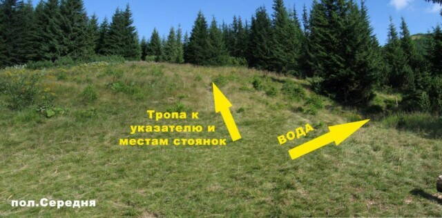 Полонына Середня