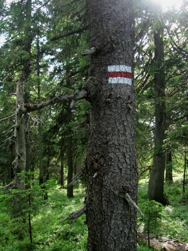 маркировка маршрута