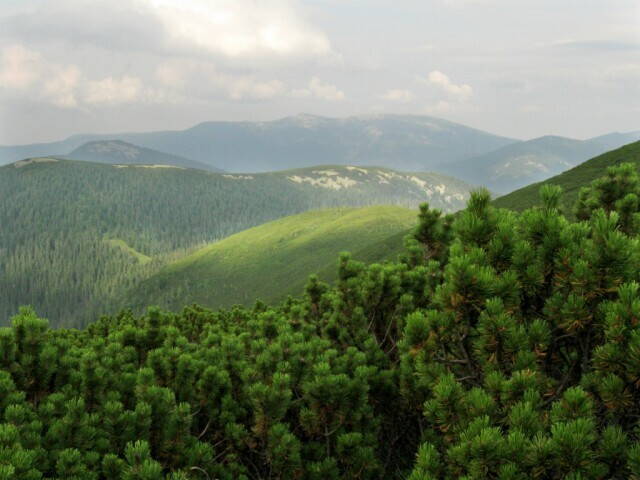 тропа на гору Коретвина