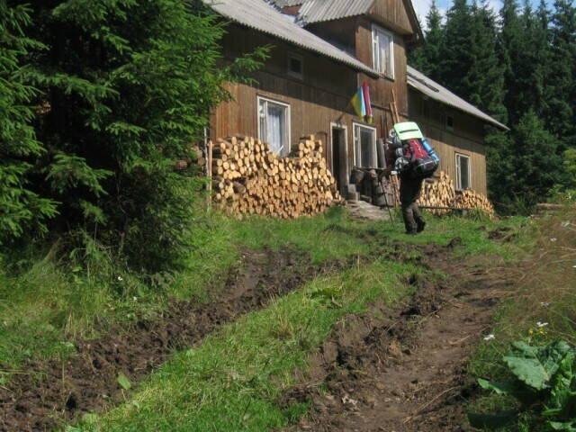 Сплаи