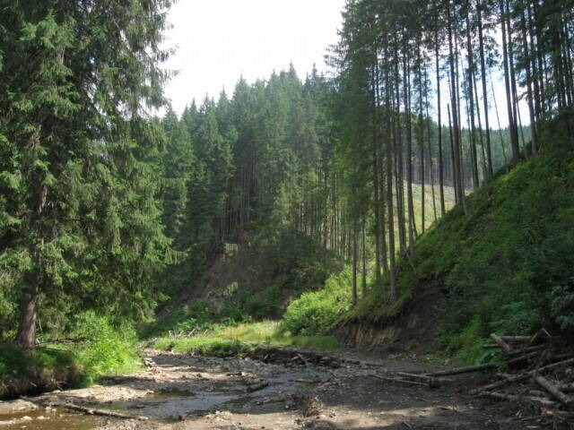 Дарьев