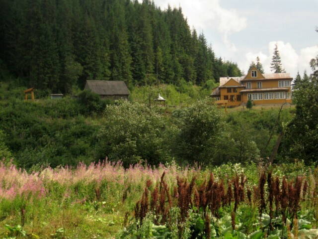 Дарьев