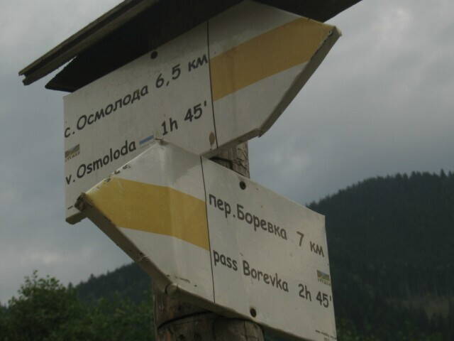Дарьев