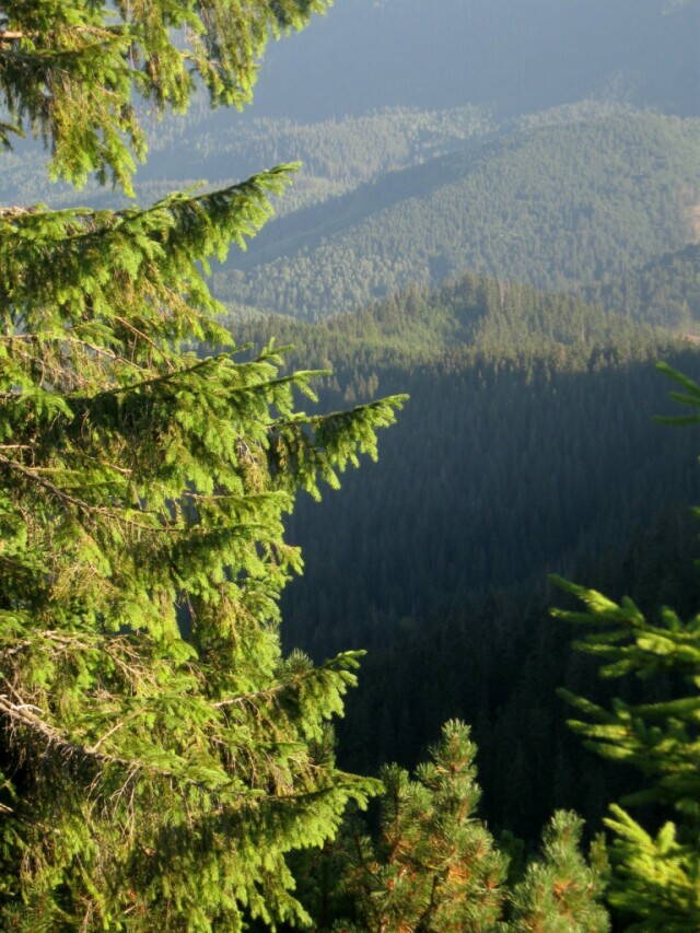 урочище Пекло
