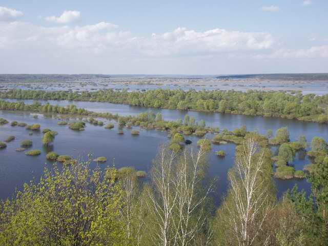 Вид на Десну