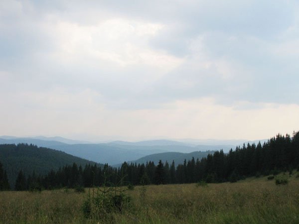 Полонина Памір