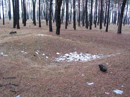 Яма во внутренней части городища.