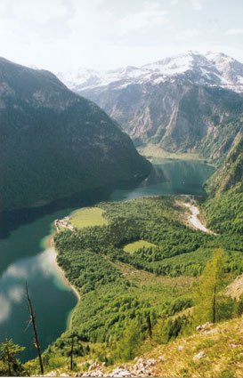 Кёних-зее - супер заповедник.
