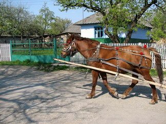 Лошадка
