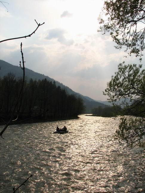 Водники