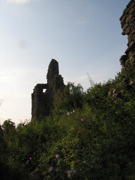 Виноградів. Фортеця
