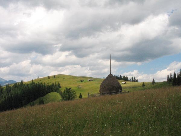 Дземброня