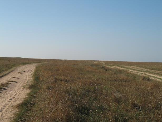 Дикая, неизгаженная степь