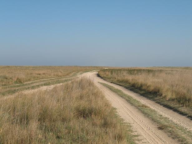 Дикая, неизгаженная степь