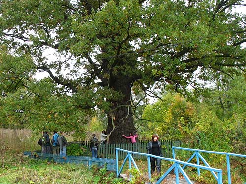 Природа и ее дети (иногда шкодливые)