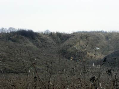 Холмы