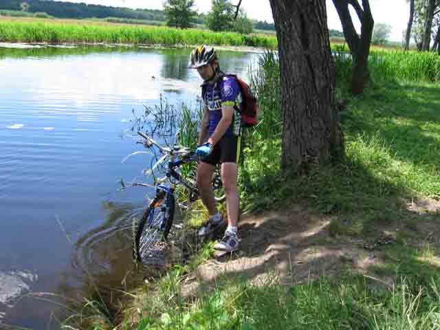 Велы пробуют водичку...