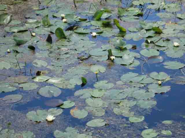 Ну очень мне здесь нравится!