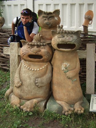 <b>Веселі котики.</b>
