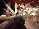 Мексика. Гигантские кристаллы пещеры Naica