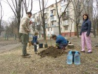 Жара как результат победы асфальта над деревьями