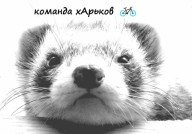 Разрабатываем маршрут для велопохода
