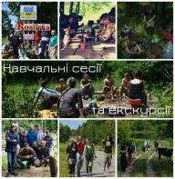 Літо в лісі: час, проведений з користю для себе та природи