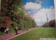 ТелеИнтервью: золотые велодорожки