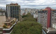 Зеленая улица Руа-Гонсалу-де-Карвальо
