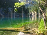 Затопленный лес озера Каинды, Казахстан