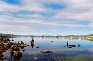 Хардангервидда-национальный парк в Норвегии